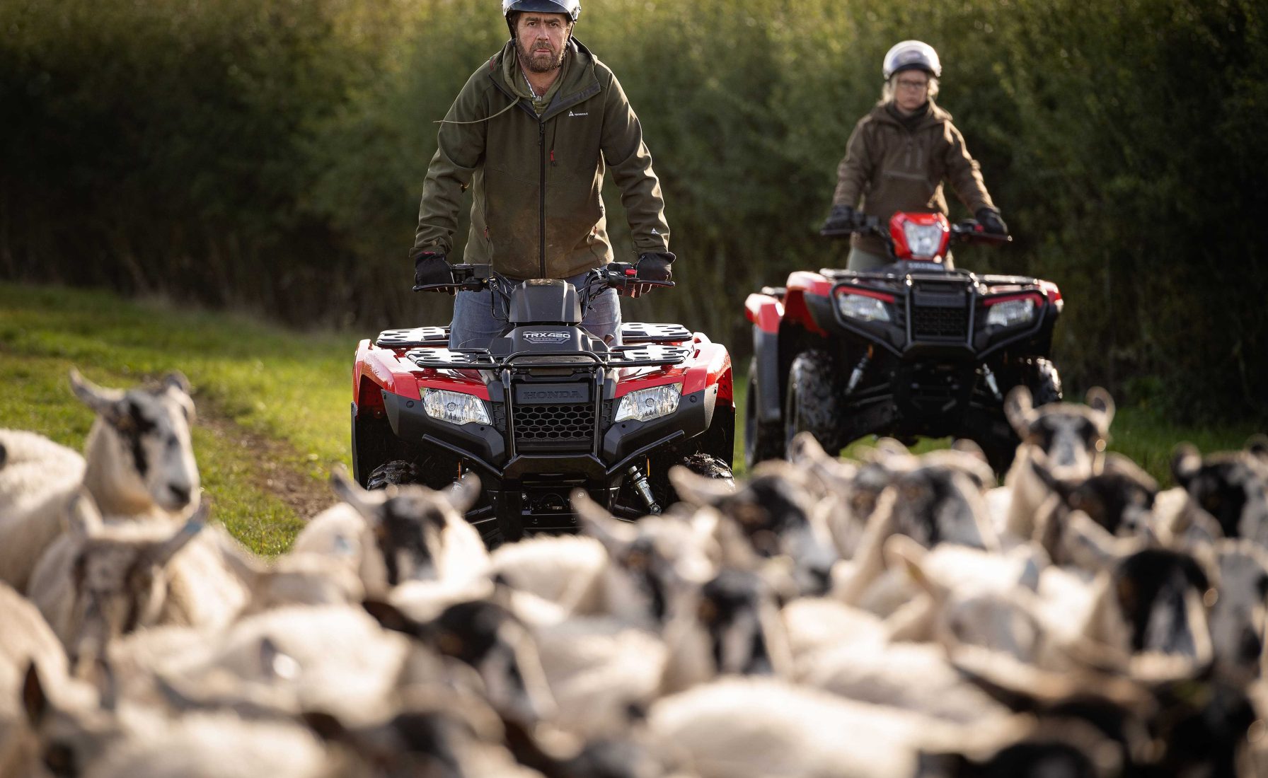 80376 2020 ATV TRX420 Photography Location 3061min ORIGINAL