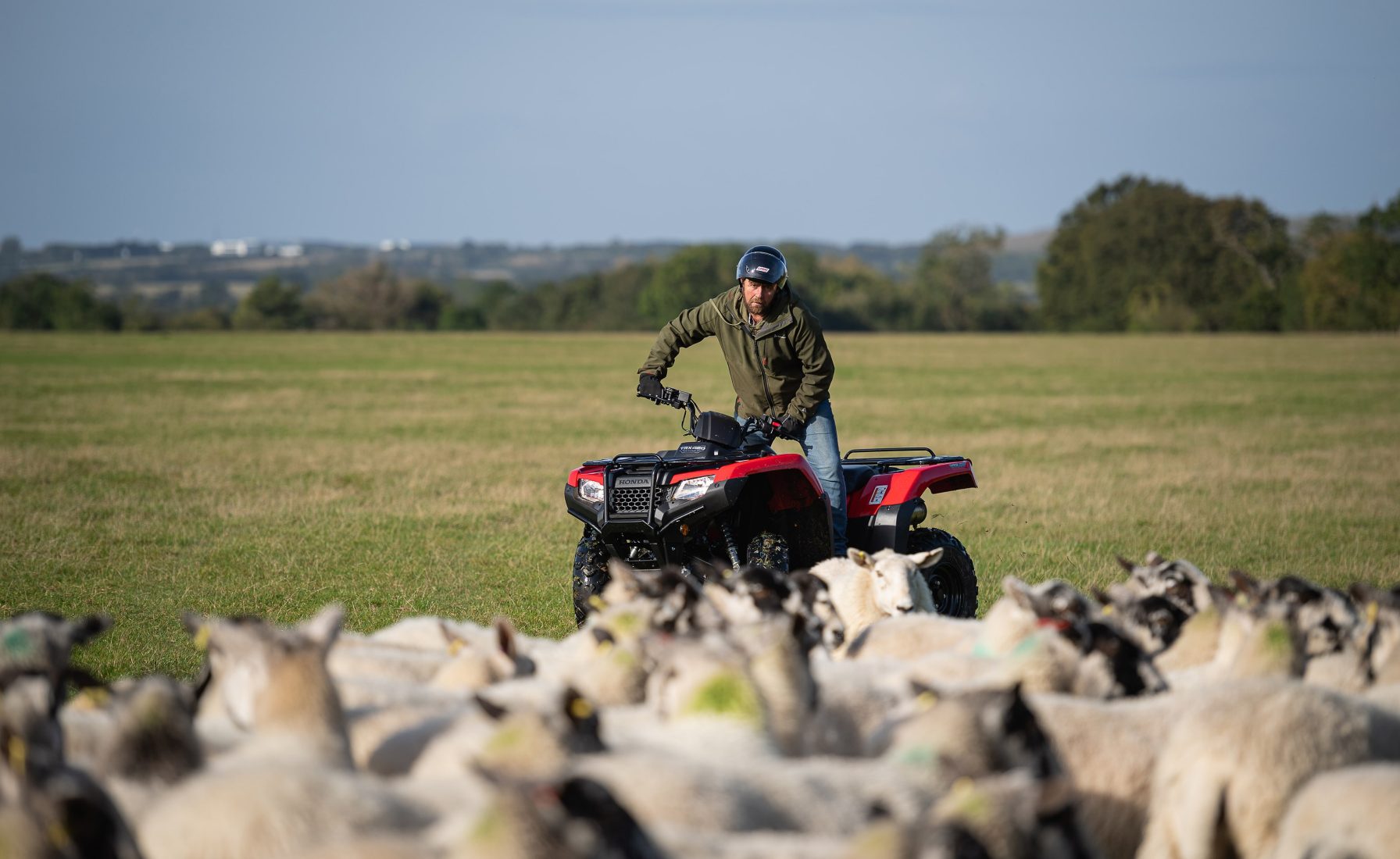 80381 2020 ATV TRX420 Photography Location 3153min ORIGINAL