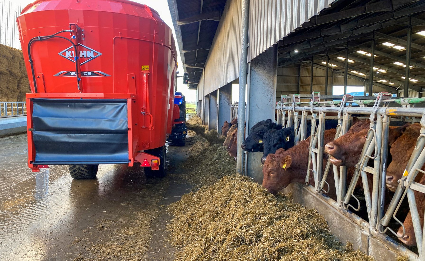 Feeders and Bedders Banner and Tab