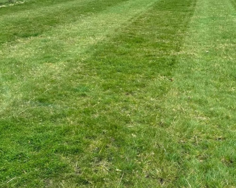 GROUNDCARE 1.58M FLAIL DEMO DELMORINO MOWER